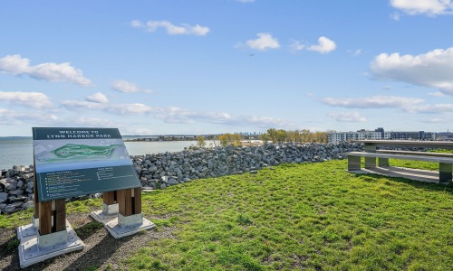 harbor park image showing the shipwright