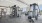 image showing weight machines at the shipwright in lynn ma